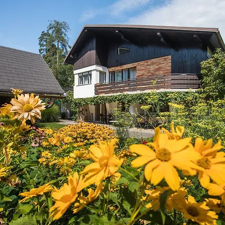 Poklukar Lejlighed *