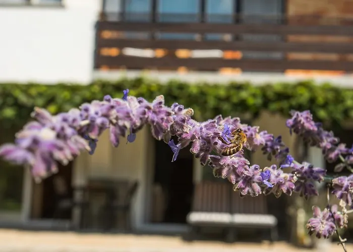 Poklukar * Μπλεντ