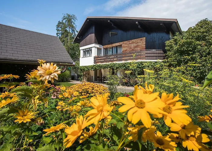 Poklukar Διαμέρισμα *