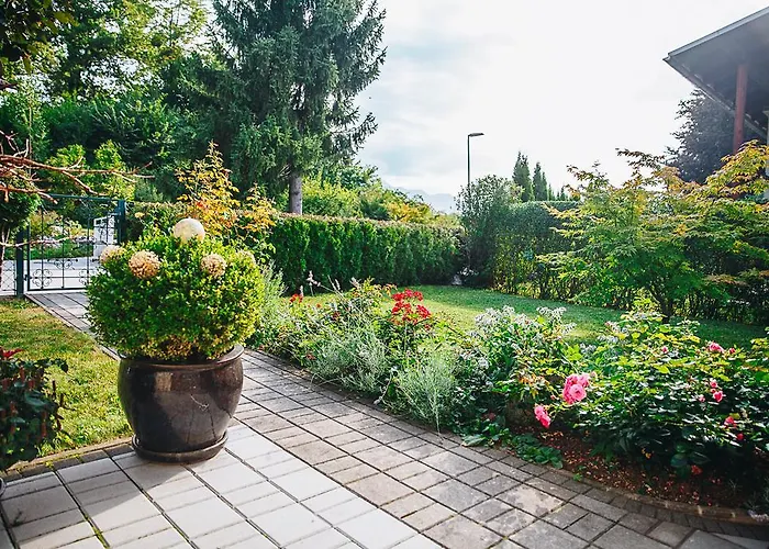 Poklukar Μπλεντ